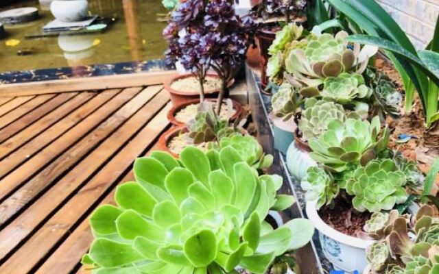 Anjing Old Tree Courtyard (Emeishan Scenic Area)