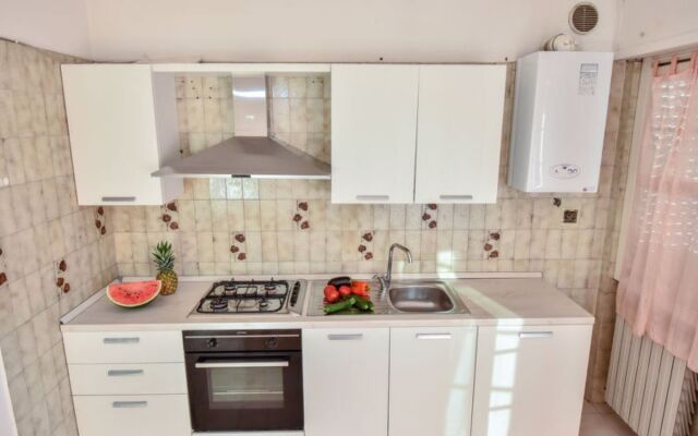 Green Marine, Palme, Ismare 24951