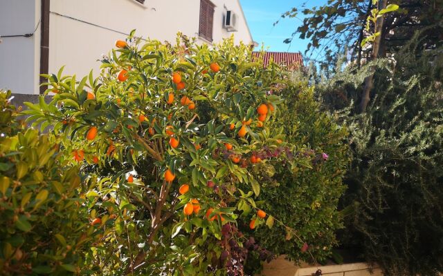 City Apartments Lani 4