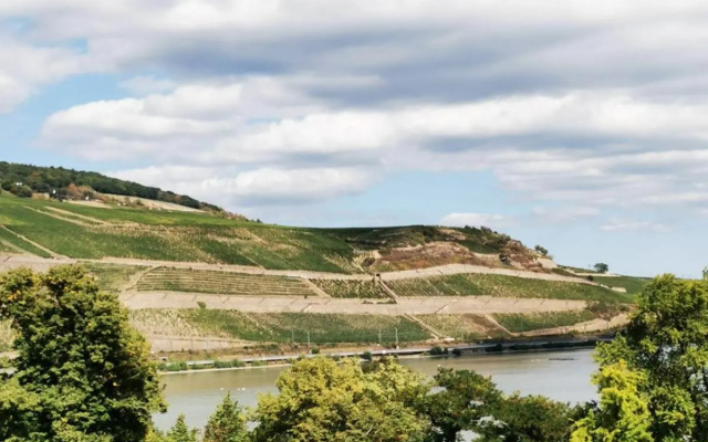 Rheinufer am Hindenburgpark