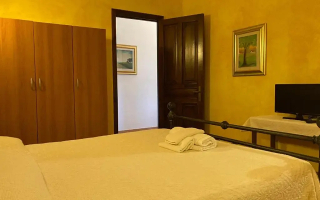 B&B Araxi