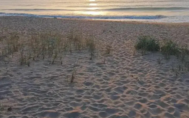 Oasis Beach Apartments Kamchia