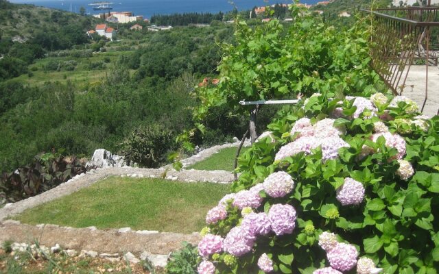 Sea View Apartments Pink & Floyd