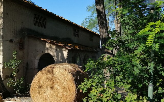 B&B Fattoria Camilla