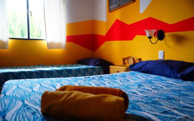 Lagarto Backpackers Hostel