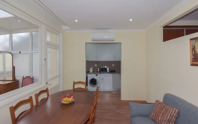 Classic Magalhaes by Homing