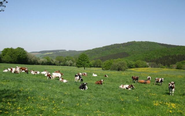 Holiday Apartment Anita Wald