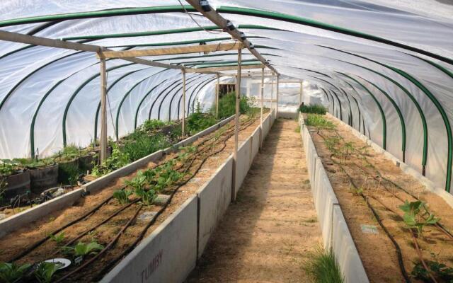 Coonawarra Bush Holiday Park