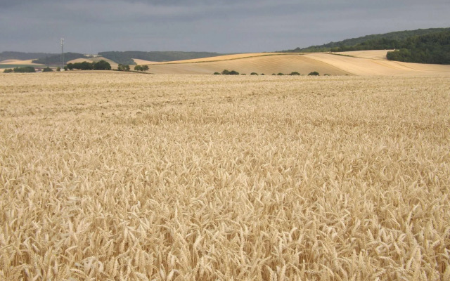 Chambres D'hôtes Le Clos Poli