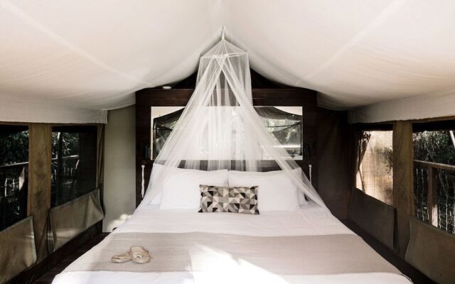 Paperbark Camp