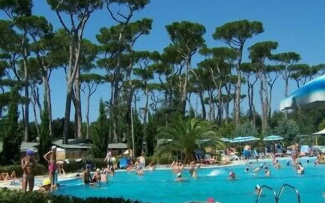 Comfortable Campsite-chalet G10 Tuscany Near sea