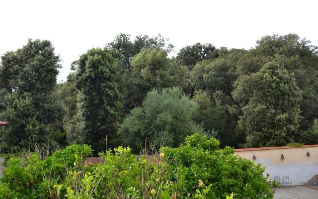 B&B Palazzo Sarlo