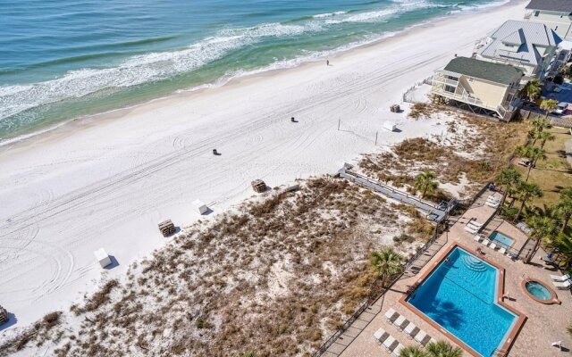 Commodore 1302 Caspian Rose