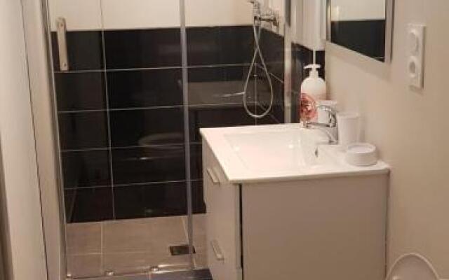 Bel appart moderne Roanne