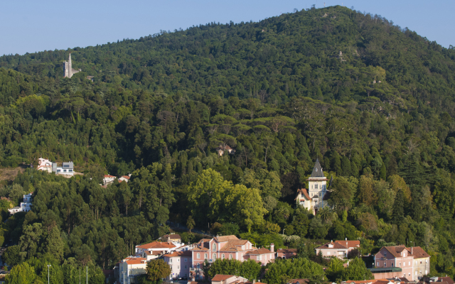 Alegre - Bussaco Boutique Hotel