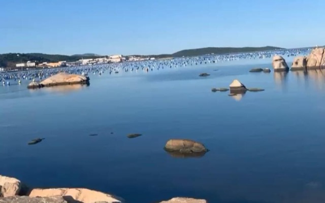 Sweet Thought Cottage