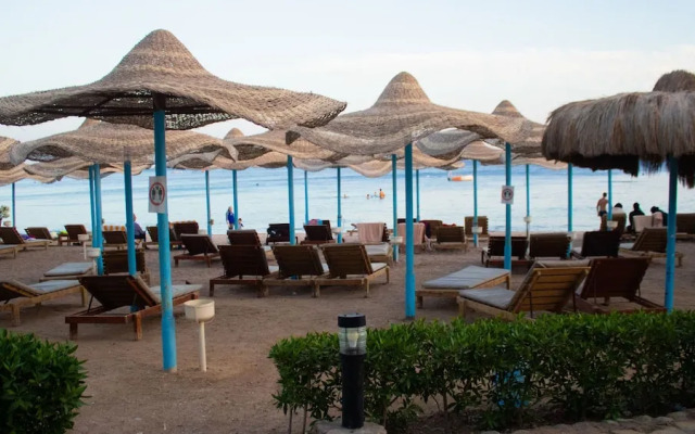 Sharks Bay Hotel & Padi Butterfly