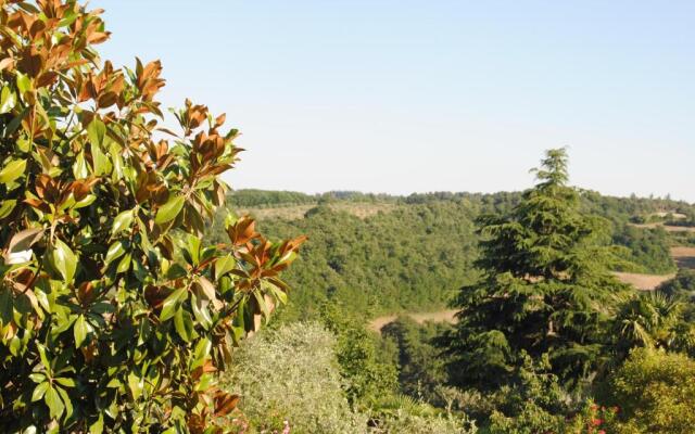 Il gelsomino del Perugino