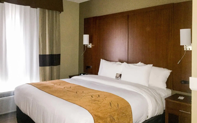 Comfort Suites University