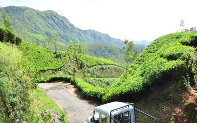 Snowdrops Homestay