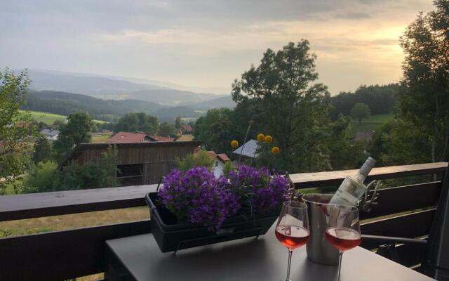 Apartment Tälerblick 2 -neu modernisiert-