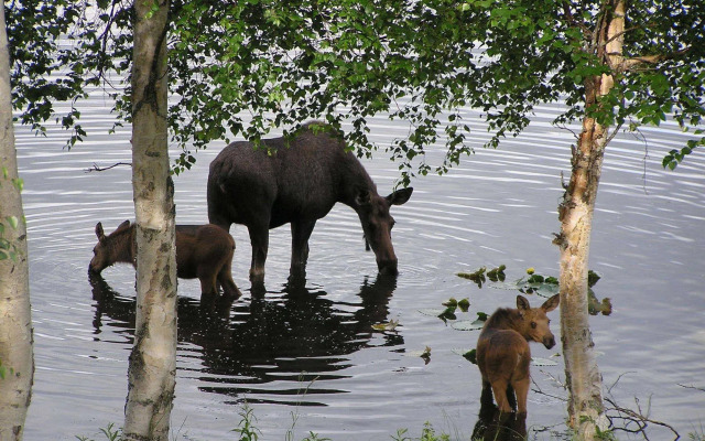 St. Theresa's Lakeside Resort