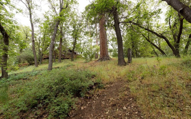 Chateau Milagro - 1104 by Big Bear Vacations