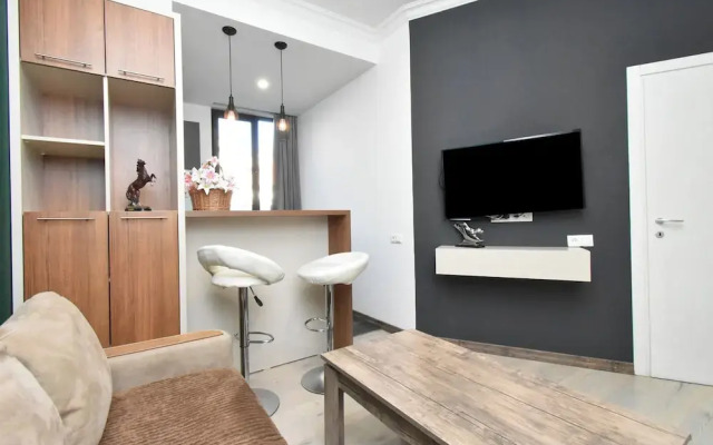 Apartment on Pushkin street
