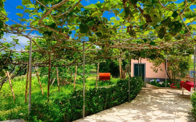 Os Ferreirinhos a Home in Madeira