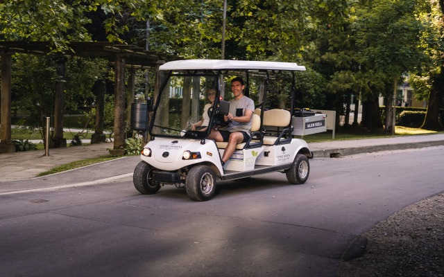 Depandance Vila Higiea - Terme Dobrna