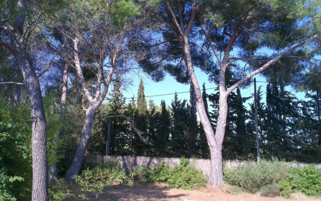 La Petite Maison Sous les Pins
