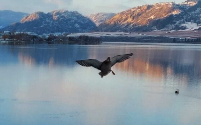 Richter Pass Beach Resort