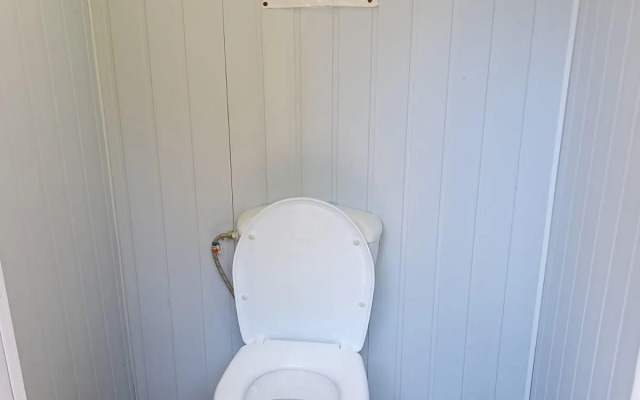 On the Collective 11