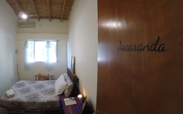 Casa Raiz