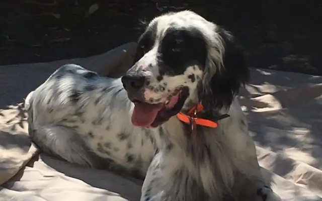 Residenza La Canonica