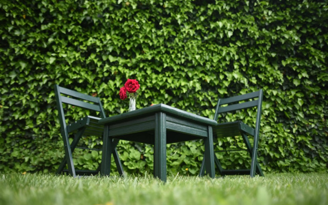 The Old House Paparosa Mostar - Blagaj