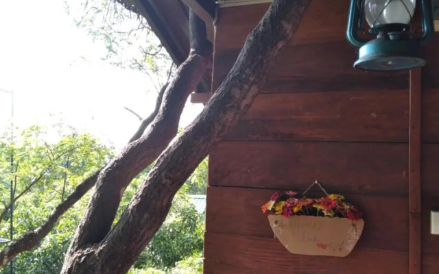 Dambulla Tree House
