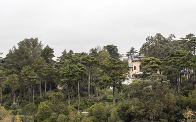 Sintra Marmoris Camelia