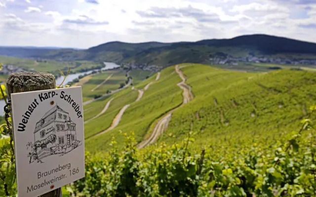 Weingut Karp-Schreiber