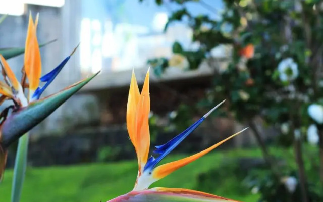 Tradicampo Eco Country Houses  Casa da Talha