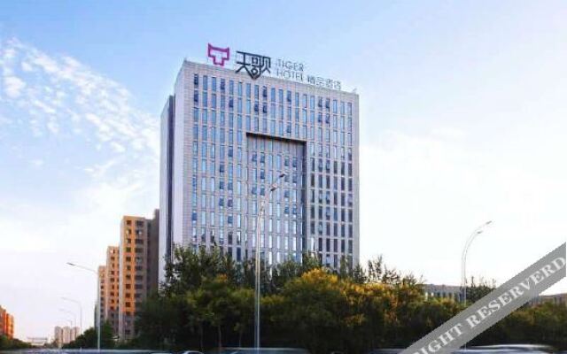 Tiger Hotel