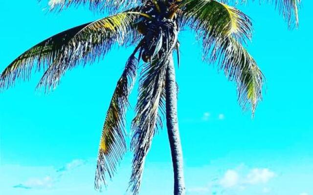 Ocean Front Miami