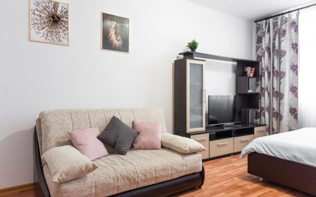 Pashk Inn Apartments (Пашк Инн Апартментс) на улице Союзная 27