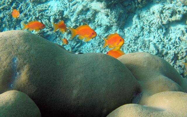 Ocean Village Maldives