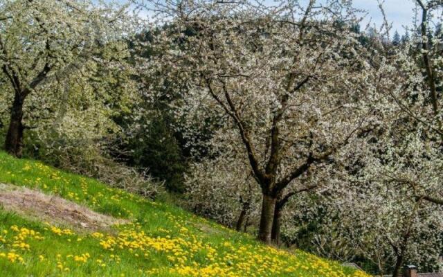Vogthof Wohnung Schneckenhus