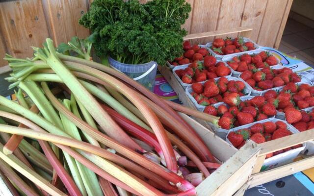 Gite du Marché d'Elsa