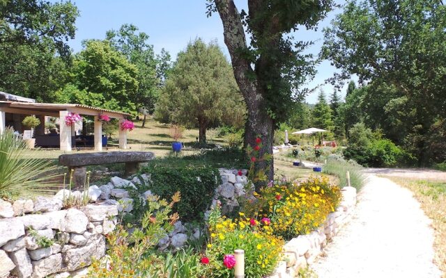 The Lotus Tree Guesthouse