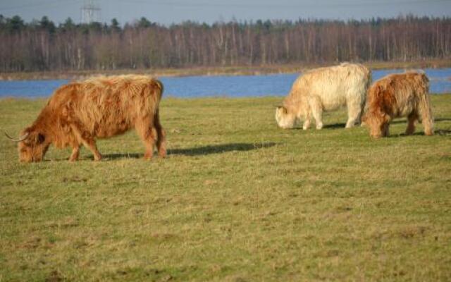 Auberge De Moerse Hoeve