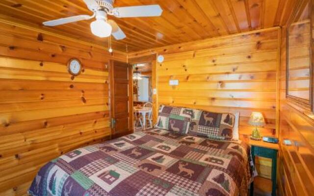 Pine Forest Cabin