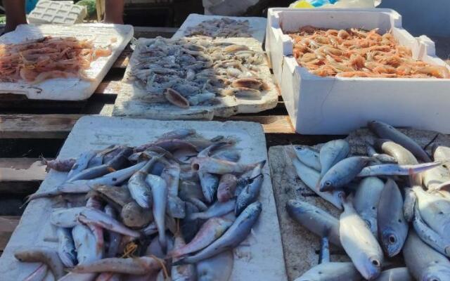 Appartamento Porto Marina VA1